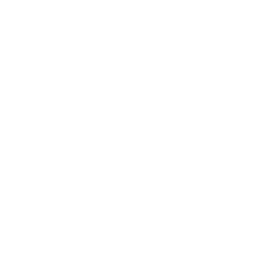 deal icon