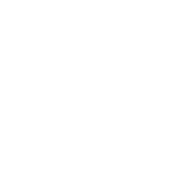 gun icon